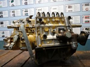 gallery (16)